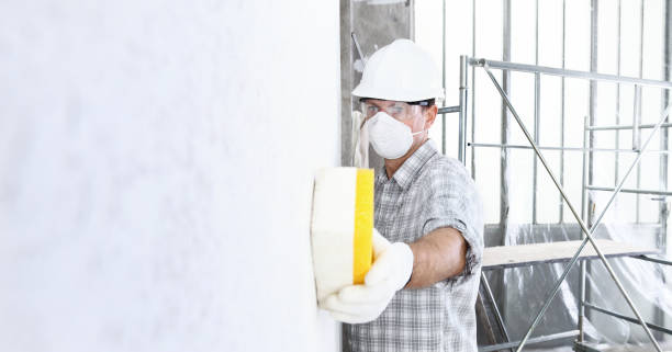 Why You Should Choose Our Mold Remediation Services in Endwell, NY